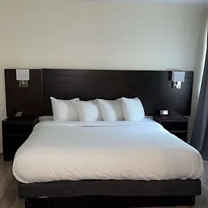 Hotel Newstar